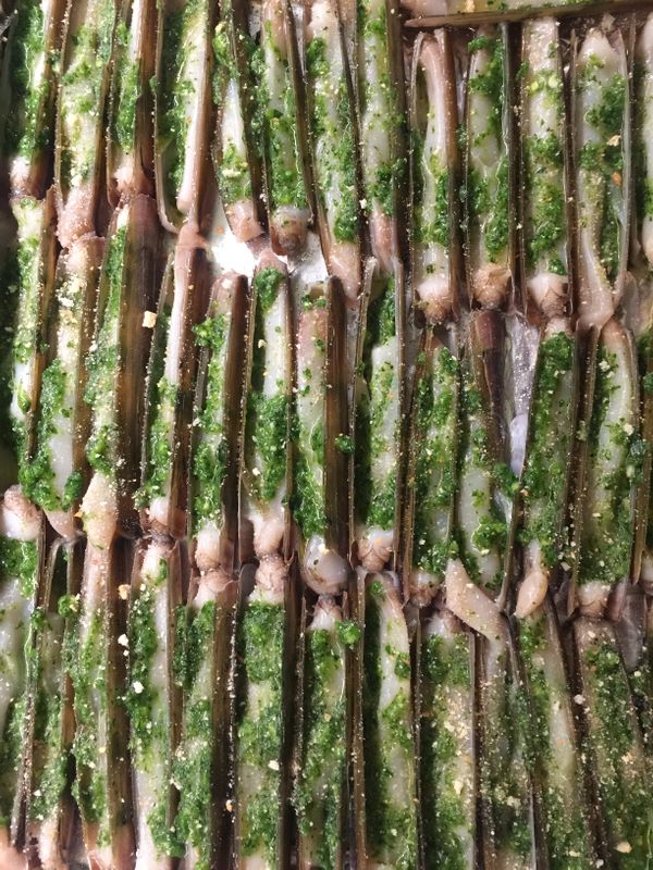 106099_w600 Goujonnettes de carpe