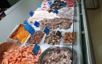 Agrandissement de votre magasin Fish Brenne