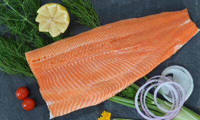 La Truite - Filet Avec peau désarêté