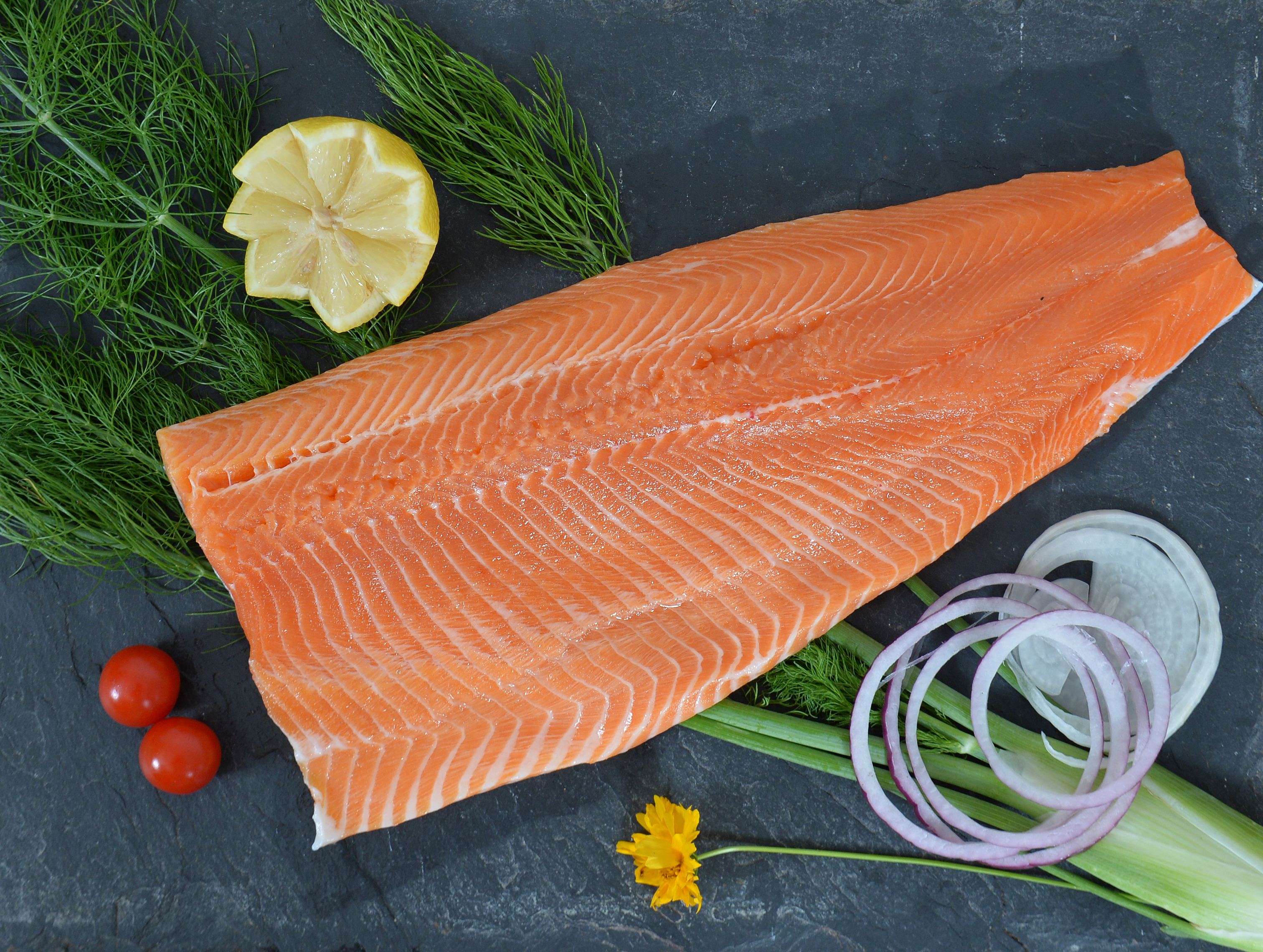 La Truite – Image 3