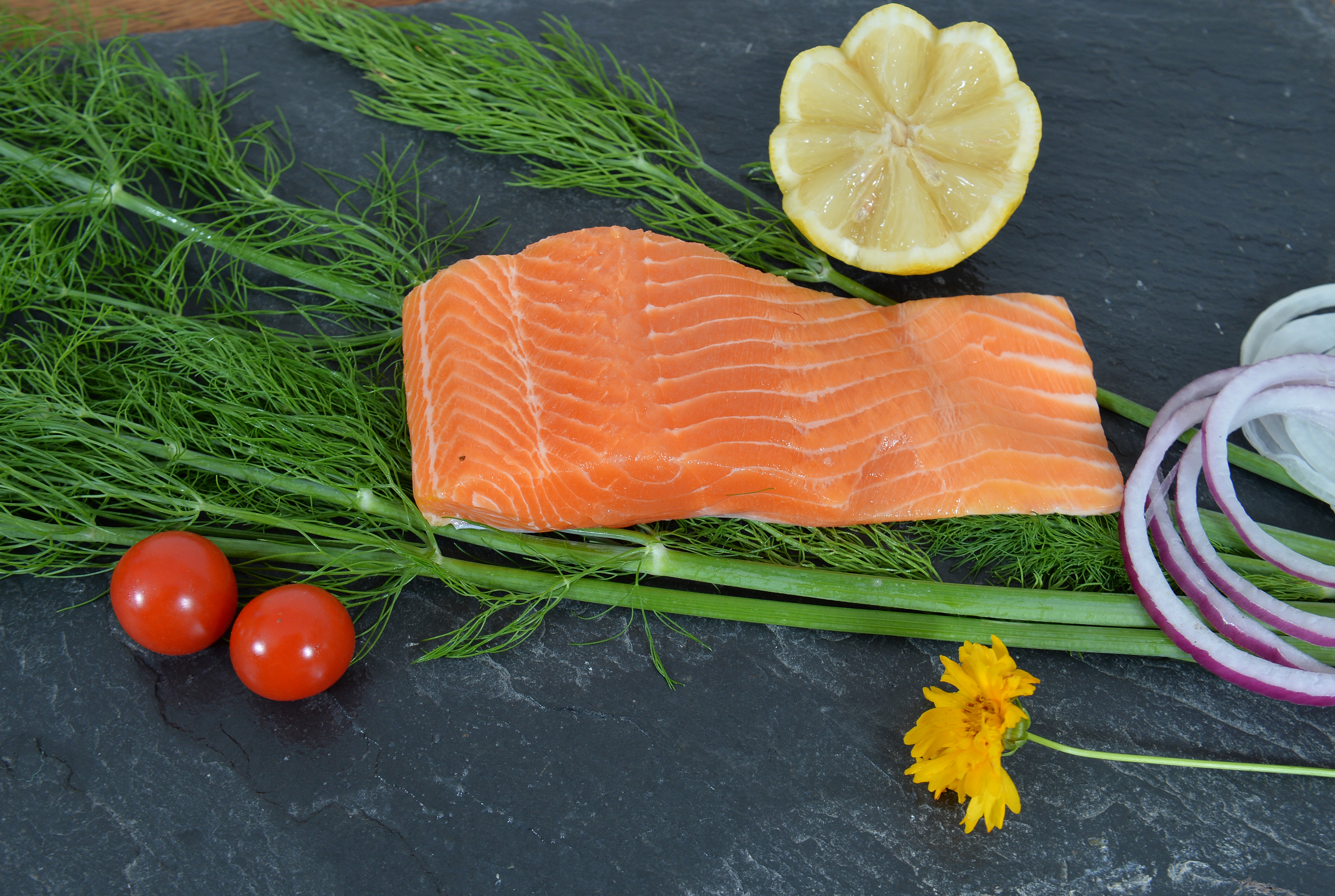 La Truite – Image 4