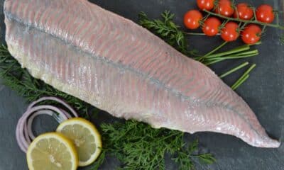 L'esturgeon - Filet Sans peau