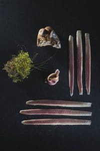 L'anguille fumée