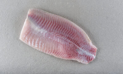 La Carpe de Brenne - Filet de carpe Sans Peau 1 KG