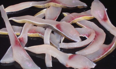 Goujonnettes de carpe avec peau surgelées